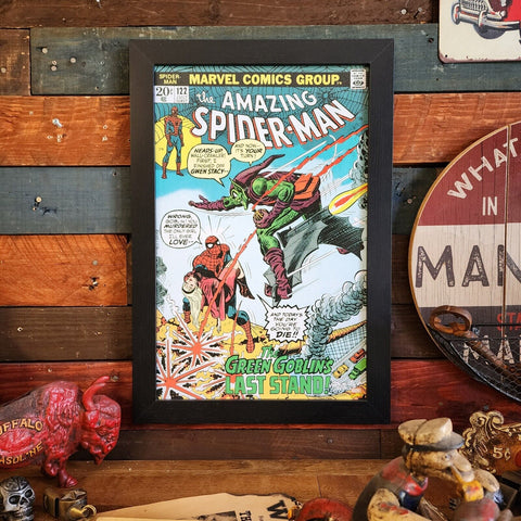 Spider-Man Last Stand 1973 Marvel Comics Cover 19" x 13" Framed Wall Decor