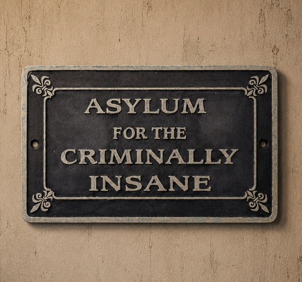 Asylum For The Criminally Insane Plaque – 8" x 5" Vintage Style Wall Sign
